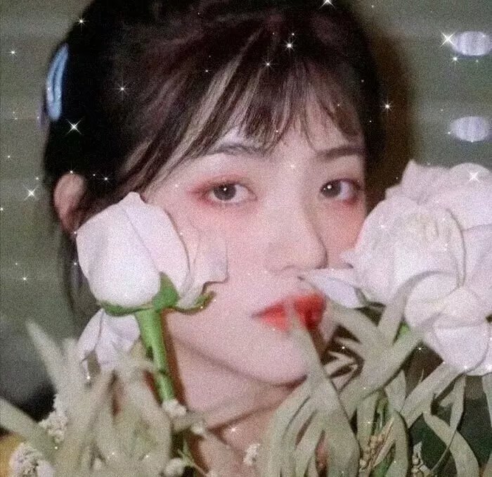 反贪腐